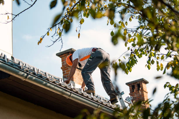 Roof Insulation in Ecorse, MI